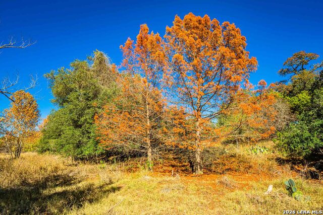 Image 24 of 47 For 183 Teton Lane