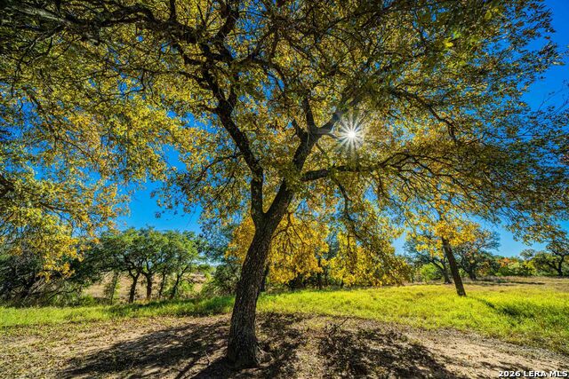 Image 45 of 47 For 183 Teton Lane