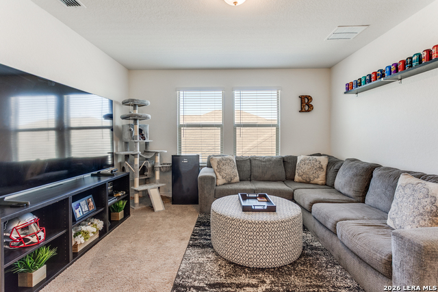 Image 13 of 25 For 10513 Salitrillo Bend