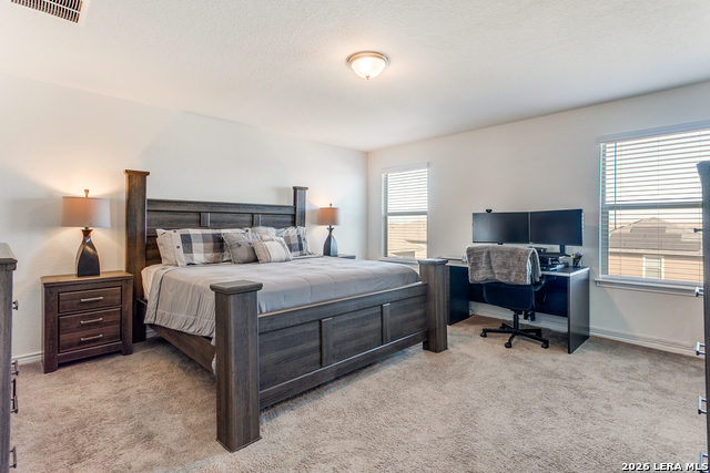 Image 16 of 25 For 10513 Salitrillo Bend