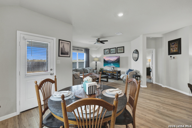 Image 14 of 40 For 2847 Calandra Lark