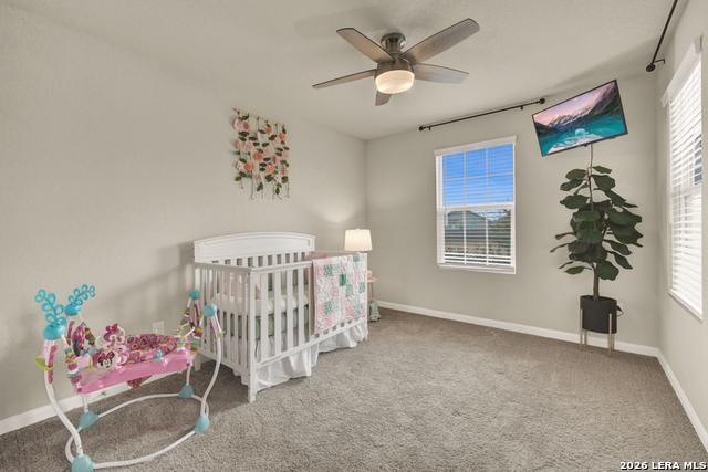 Image 23 of 40 For 2847 Calandra Lark