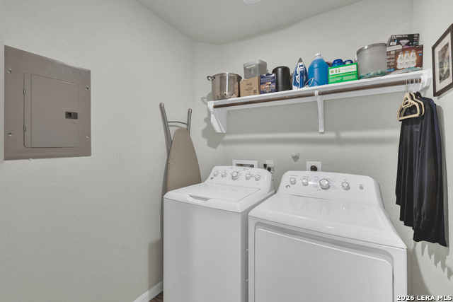 Image 26 of 40 For 2847 Calandra Lark