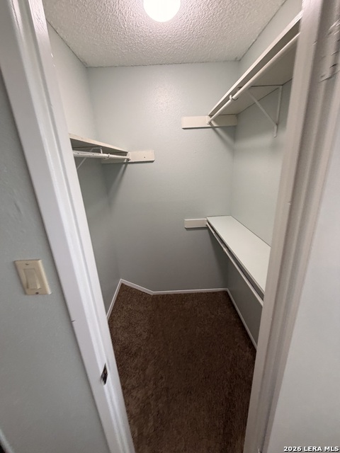 Image 14 of 20 For 13616 Dutch Myrtle  13616