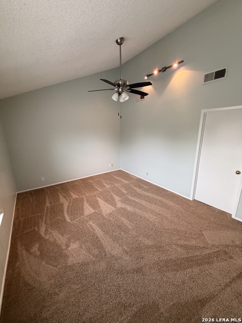 Image 15 of 20 For 13616 Dutch Myrtle  13616