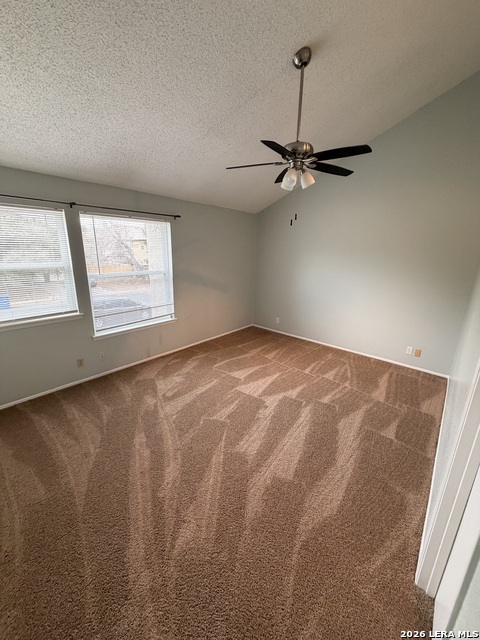 Image 16 of 20 For 13616 Dutch Myrtle  13616