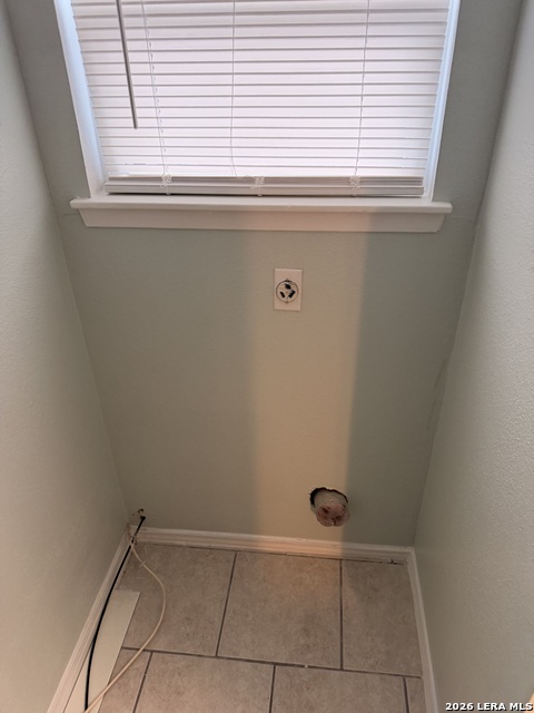 Image 17 of 20 For 13616 Dutch Myrtle  13616