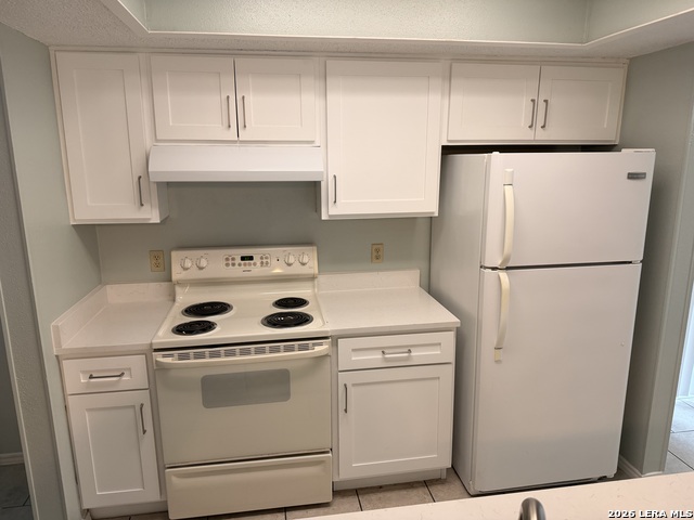 Image 20 of 20 For 13616 Dutch Myrtle  13616