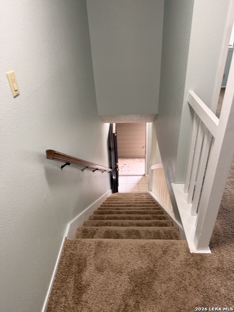 Image 8 of 20 For 13616 Dutch Myrtle  13616