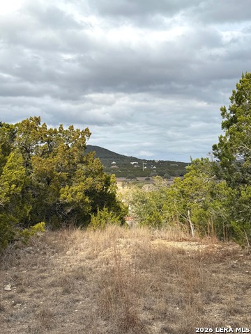 Details for Tbd Stoney Hill Lane, Pipe Creek, TX 78063