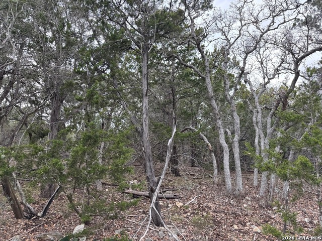 Image 9 of 10 For Tbd Stoney Hill Lane