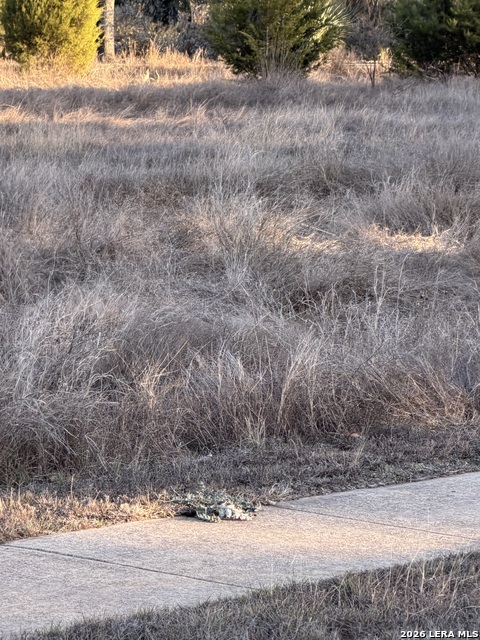 Image 7 of 14 For 1046 Monteola