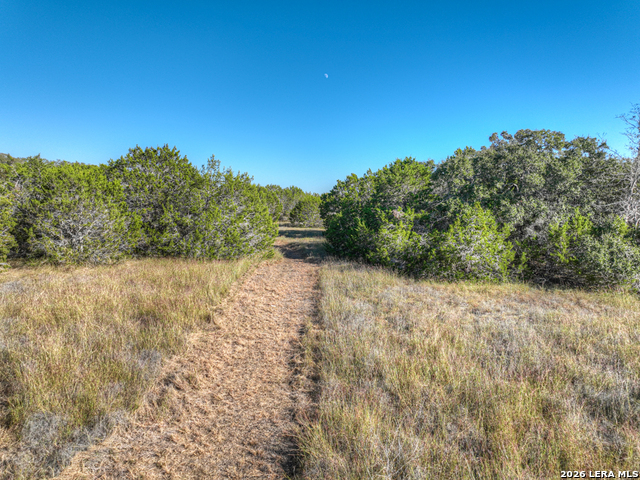 Image 16 of 41 For 1736 Demi John Bend