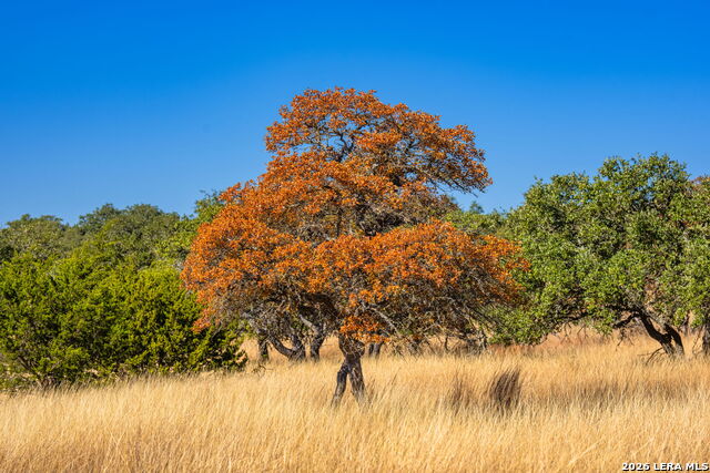 Details for 18 Legacy Oaks Drive, Harper, TX 78631