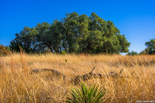 Details for 19 Legacy Oaks Drive, Harper, TX 78631