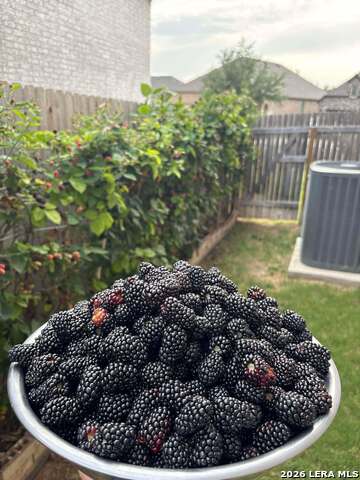 Image 32 of 45 For 12260 Buckaroo Ranch