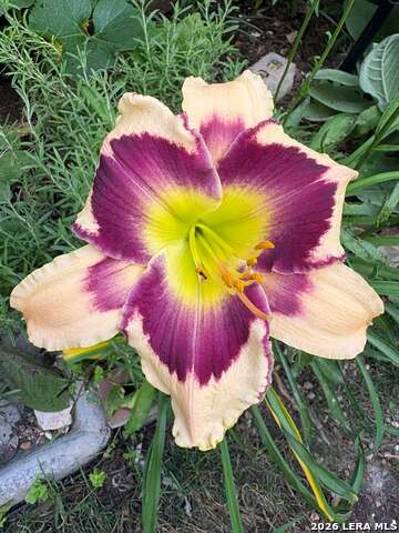 Image 33 of 45 For 12260 Buckaroo Ranch