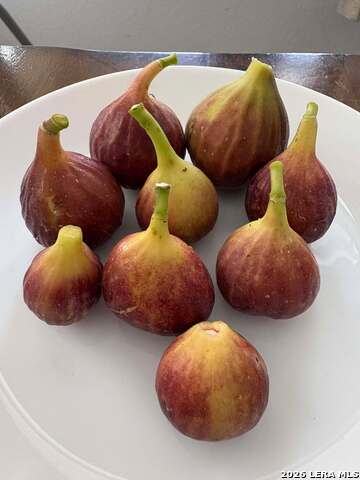 Image 34 of 45 For 12260 Buckaroo Ranch