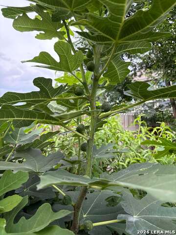 Image 35 of 45 For 12260 Buckaroo Ranch