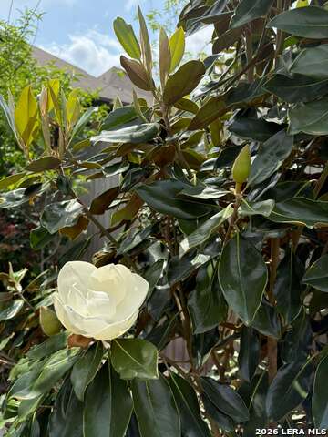 Image 36 of 45 For 12260 Buckaroo Ranch