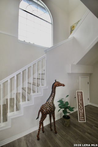 Image 3 of 33 For 23239 Skila  