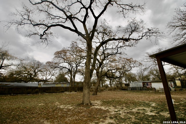 Image 32 of 33 For 23239 Skila  