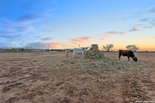 Listing photo id 31 for 561 Barth  