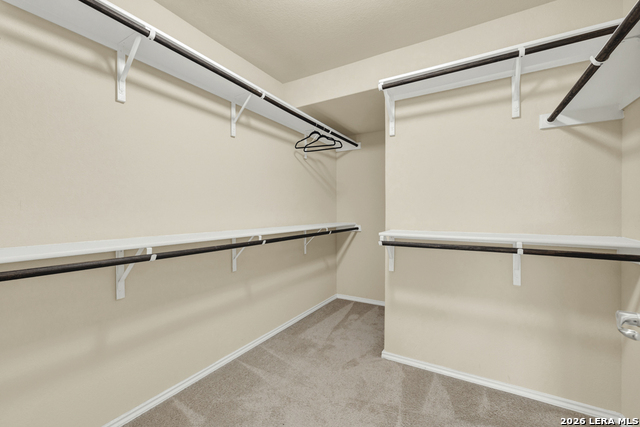 Image 24 of 33 For 11514 Tiger Woods