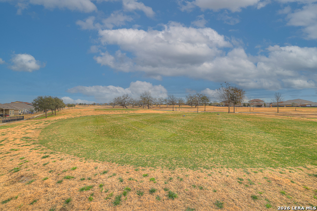 Image 32 of 33 For 11514 Tiger Woods