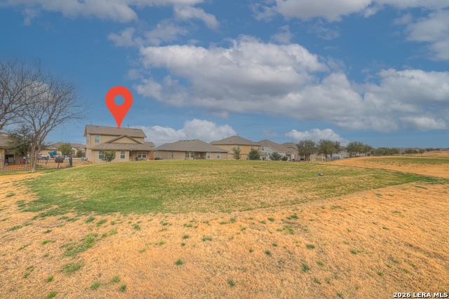 Image 33 of 33 For 11514 Tiger Woods