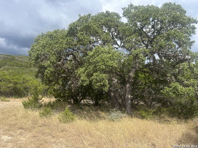 Image 2 of 16 For Tbd Scenic Pass