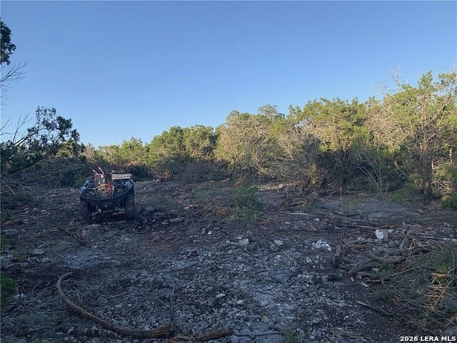 Image 2 of 4 For 20 Winchester