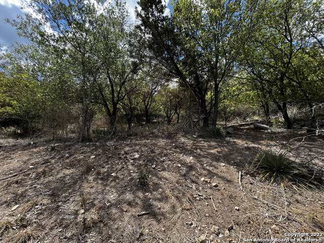 Listing photo id 6 for 7915 Krueger Moore