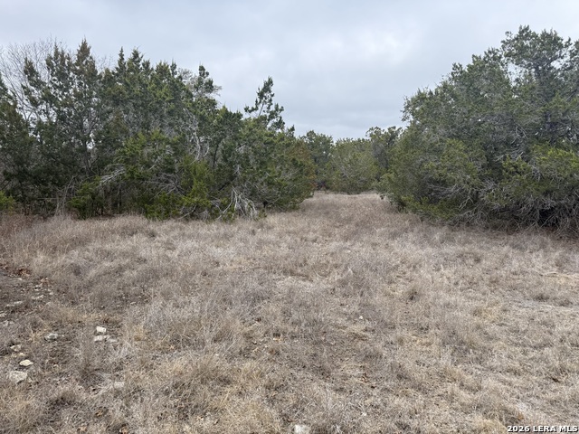 Image 4 of 6 For Lot 71 S Cliff