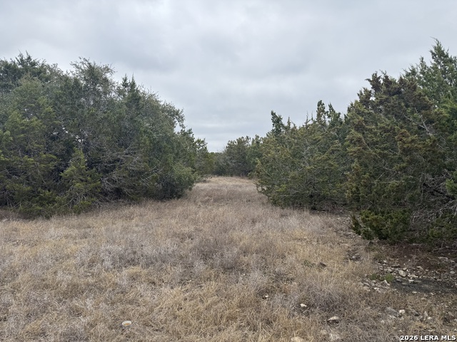 Image 5 of 6 For Lot 71 S Cliff