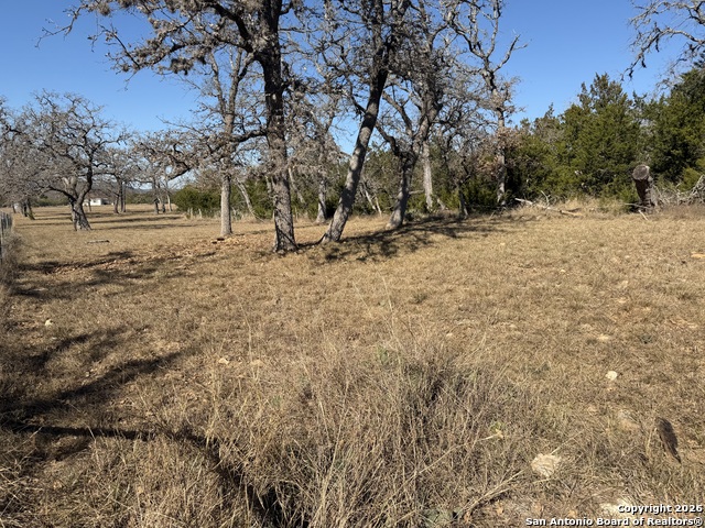 Image 3 of 6 For 309 Pine Tree Rd