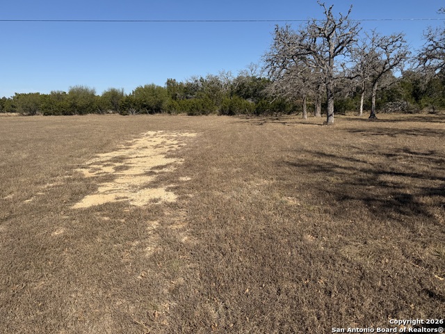 Image 6 of 6 For 309 Pine Tree Rd