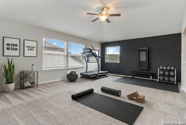 Image 23 of 32 For 26215 Big Bluestem