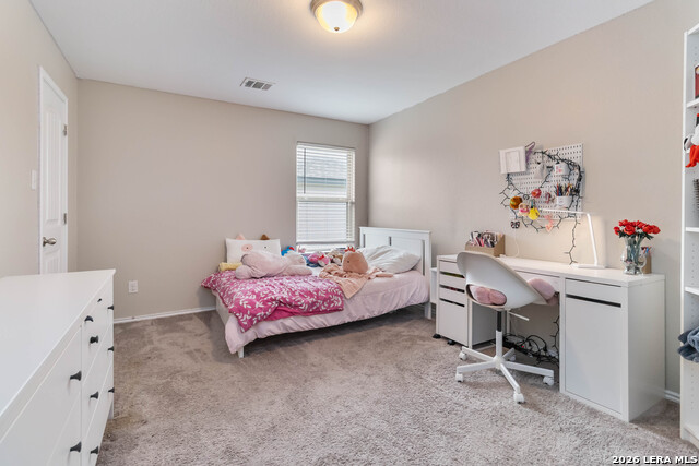 Image 24 of 32 For 26215 Big Bluestem