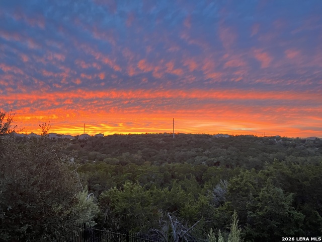 Image 29 of 32 For 26215 Big Bluestem