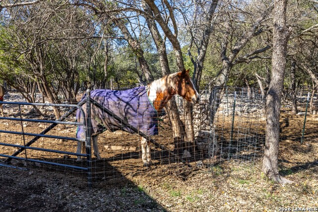 Image 29 of 43 For 519 Eden Ranch