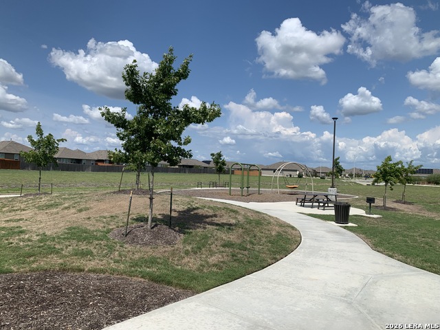 Image 35 of 35 For 522 Blue Stem