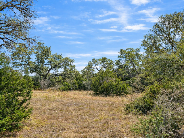 Image 2 of 5 For 210 Coneflower