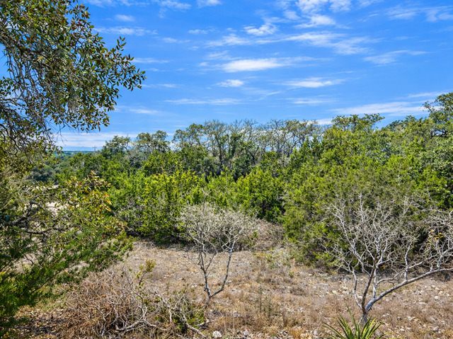 Image 3 of 5 For 210 Coneflower