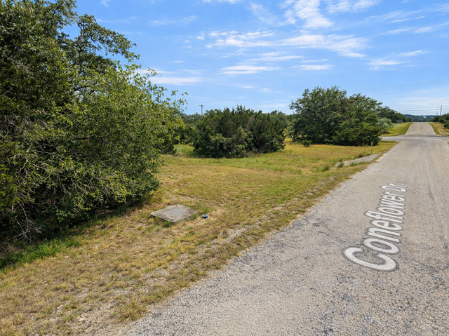 Image 4 of 5 For 210 Coneflower