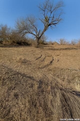 Image 5 of 5 For 2519 Hicks  