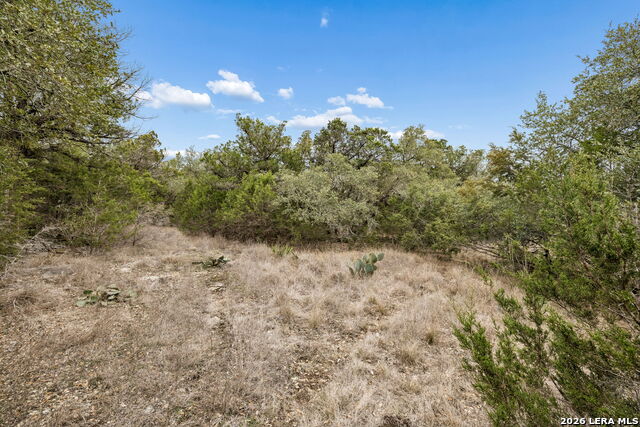 Image 10 of 60 For 1398 Lazy Forest