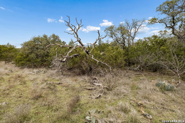 Image 17 of 60 For 1398 Lazy Forest