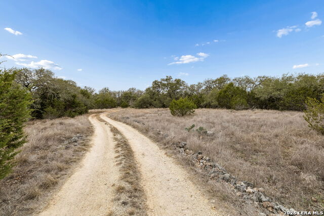Image 23 of 60 For 1398 Lazy Forest