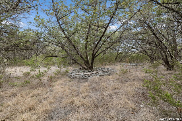 Image 26 of 60 For 1398 Lazy Forest